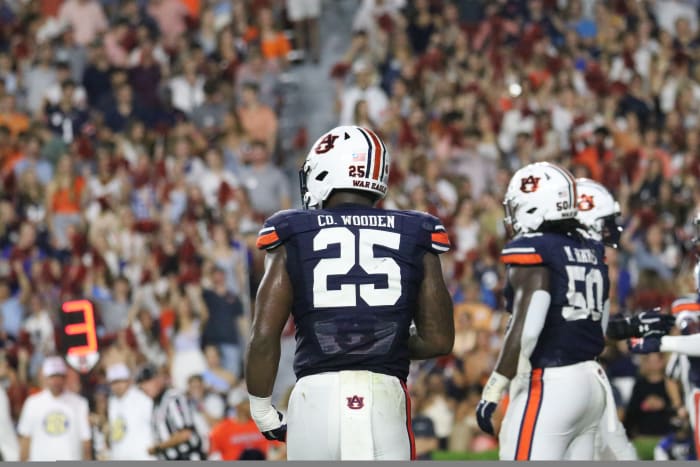 Colby Wooden looks on as the Tigers battle the San Jose State Spartans.